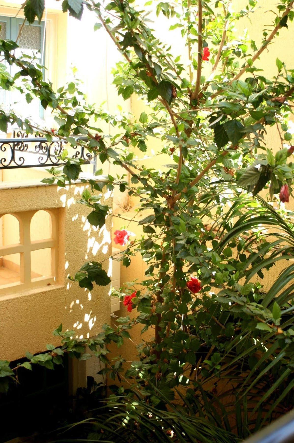 Orion Apartments Малиа Екстериор снимка